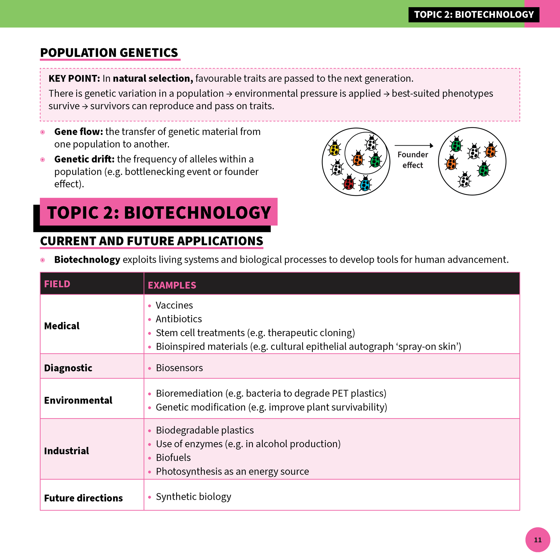 HSC Year 12 Biology Summary Sheets by ATAR Notes, displaying content on Population Genetics and Biotechnology, with definitions, a table, and a ladybug diagram.