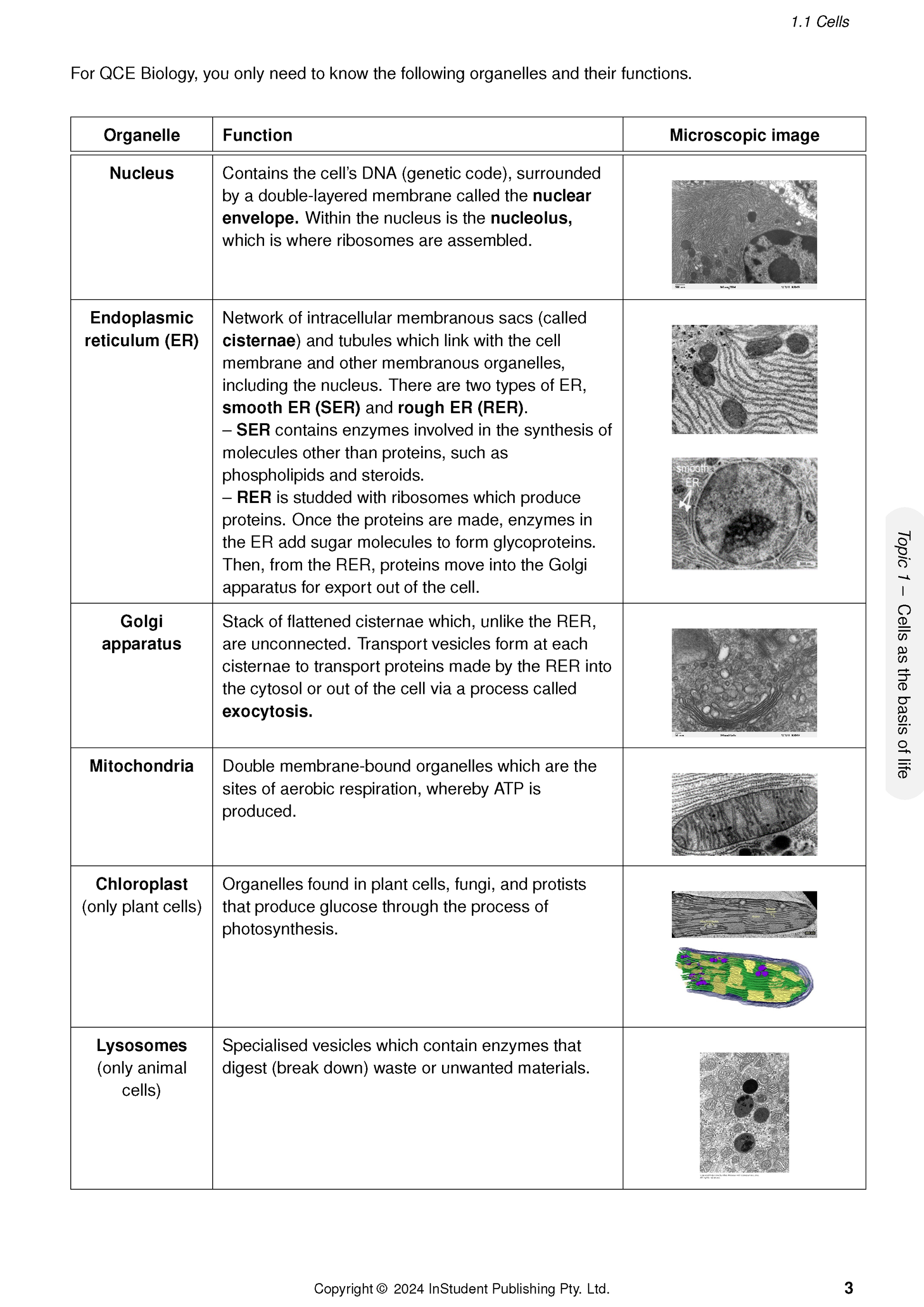 QCE Biology 1&2 Complete Course Notes by ATAR Notes, displaying a page with a table of cell organelles, functions, and microscopic images.