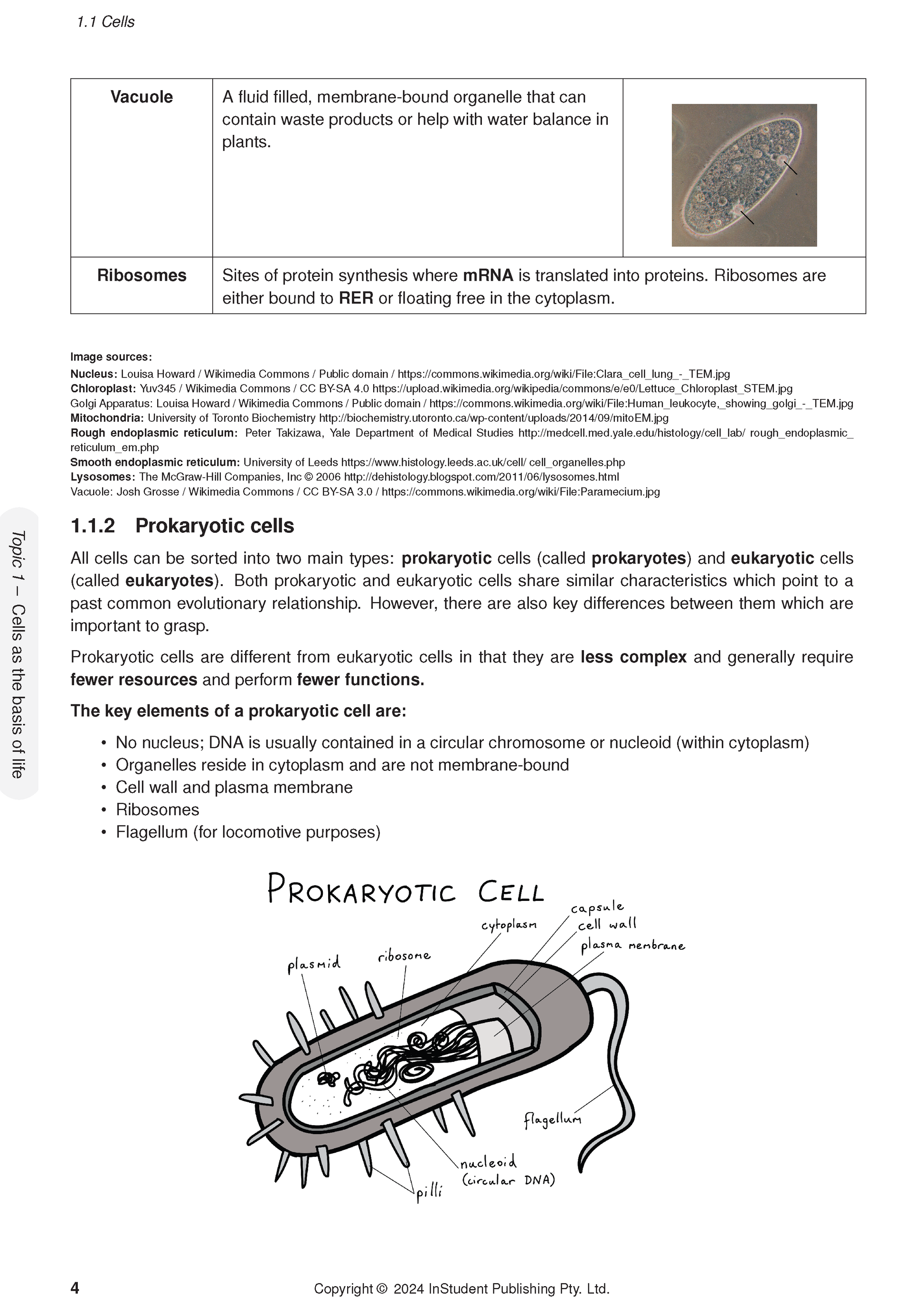 Biology Course Notes page by ATAR Notes displaying cell definitions, an organism photo, and a prokaryotic cell diagram.