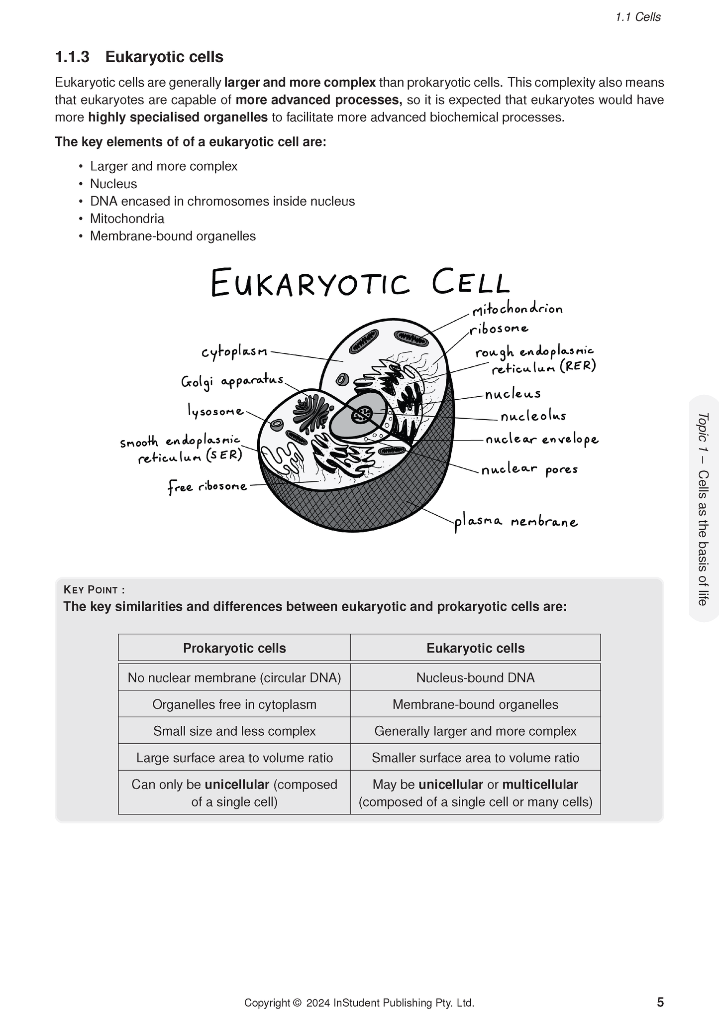 QCE Biology 1&2 Complete Course Notes by ATAR Notes, displaying a page with text, a eukaryotic cell diagram, and a comparison table.