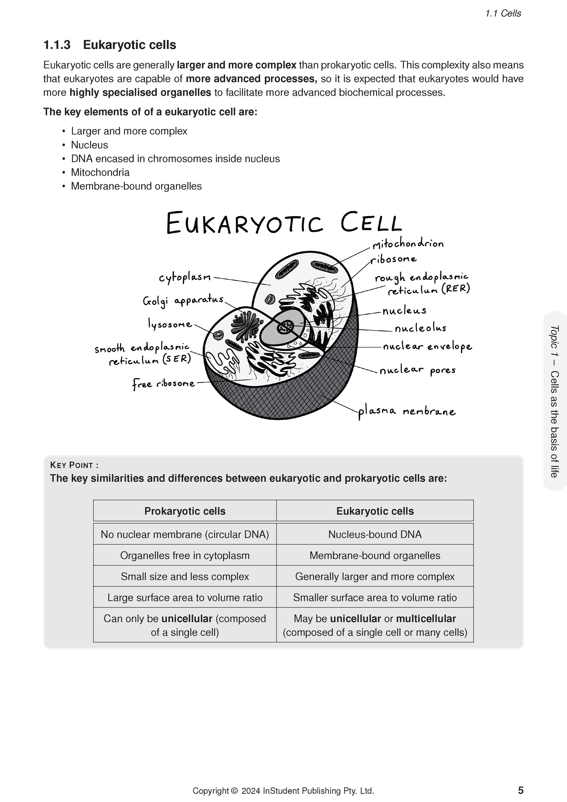 QCE Biology 1&2 Complete Course Notes by ATAR Notes, displaying a page with text, a eukaryotic cell diagram, and a comparison table.