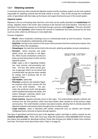 Course notes by ATAR Notes, showing a page with text and a grayscale diagram of the digestive system.