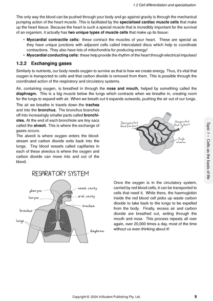 QCE Biology 1&2 Complete Course Notes (2025-2027) by ATAR Notes, an open page displaying diagrams of heart muscle cells, alveoli, and the respiratory system with accompanying text.