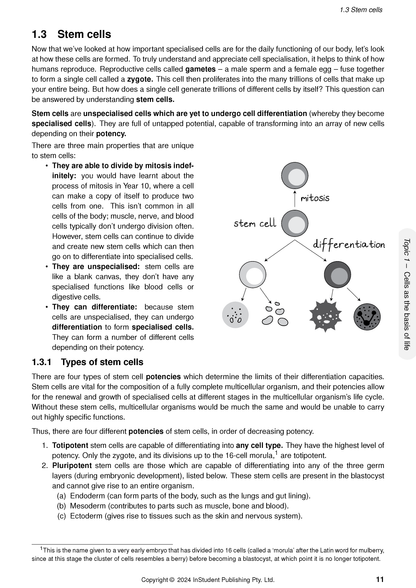 QCE Biology 1&2 Complete Course Notes by ATAR Notes, a page detailing stem cells with text and a diagram of cellular differentiation.
