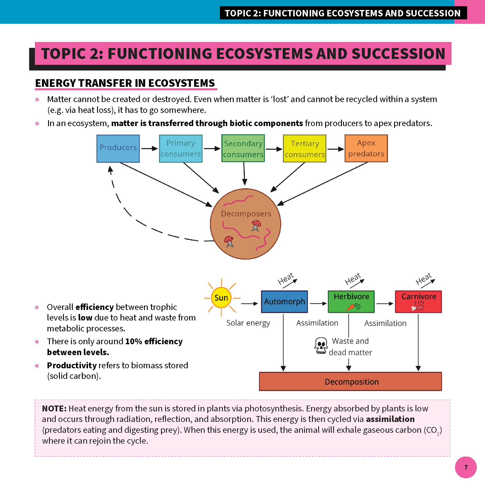QCE Biology 3&4 Summary Sheet by ATAR Notes, displaying a colorful diagram of energy transfer in ecosystems with text explanations.