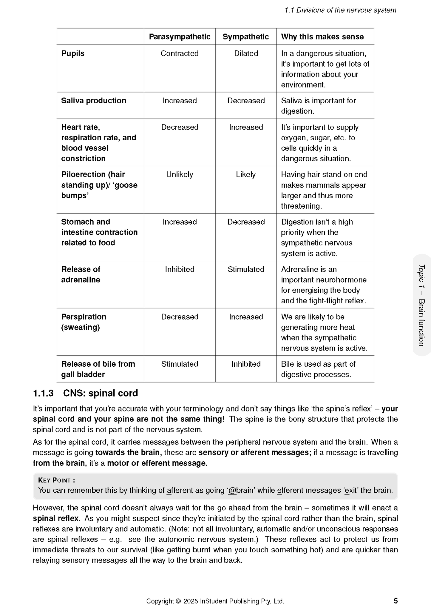 Open page from QCE Psychology Course Notes by ATAR Notes, displaying a table on nervous system divisions and text on the spinal cord.