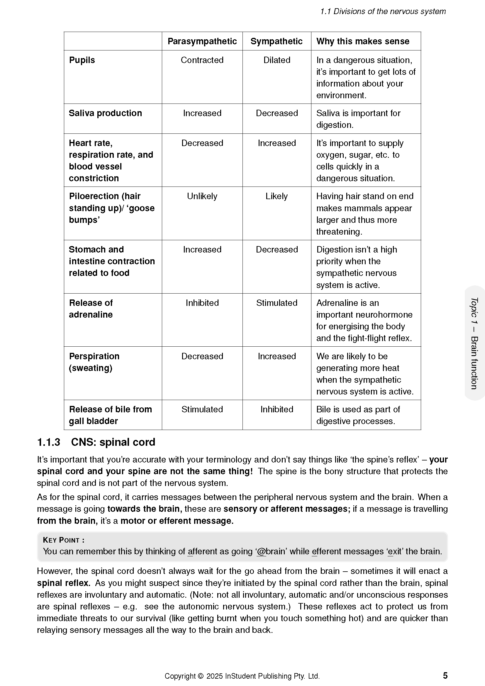 Open page from QCE Psychology Course Notes by ATAR Notes, displaying a table on nervous system divisions and text on the spinal cord.