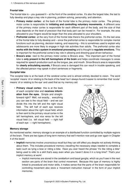 Psychology Course Notes by ATAR Notes, showing a detailed page on brain divisions, lobes, memory, and a diagram of the brain.