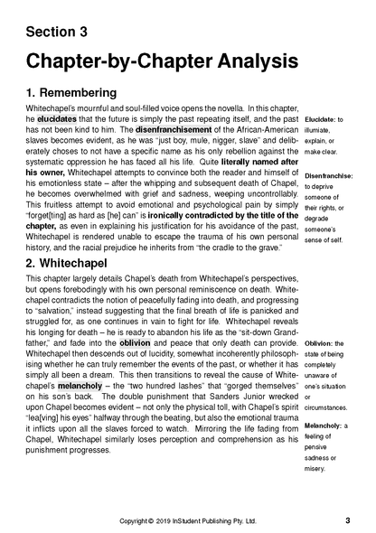 Text Guide for The Longest Memory by Fred D'Aguiar, showing a page with chapter analysis and key term definitions.