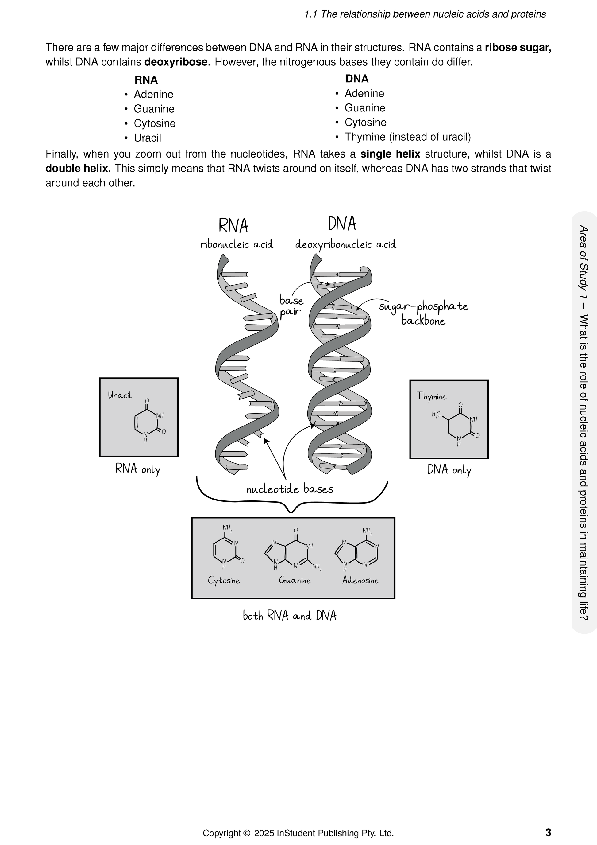 VCE Biology course notes page showing RNA and DNA structures by ATAR Notes, with diagrams of helices and chemical structures of nucleotide bases.