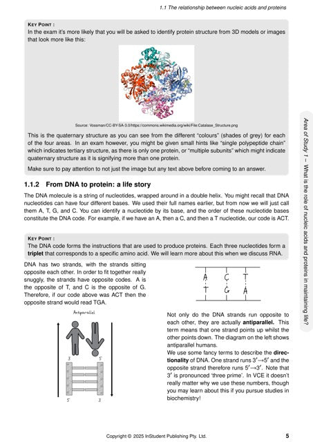 VCE Biology Course Notes page by ATAR Notes featuring text and diagrams on protein structure and DNA.
