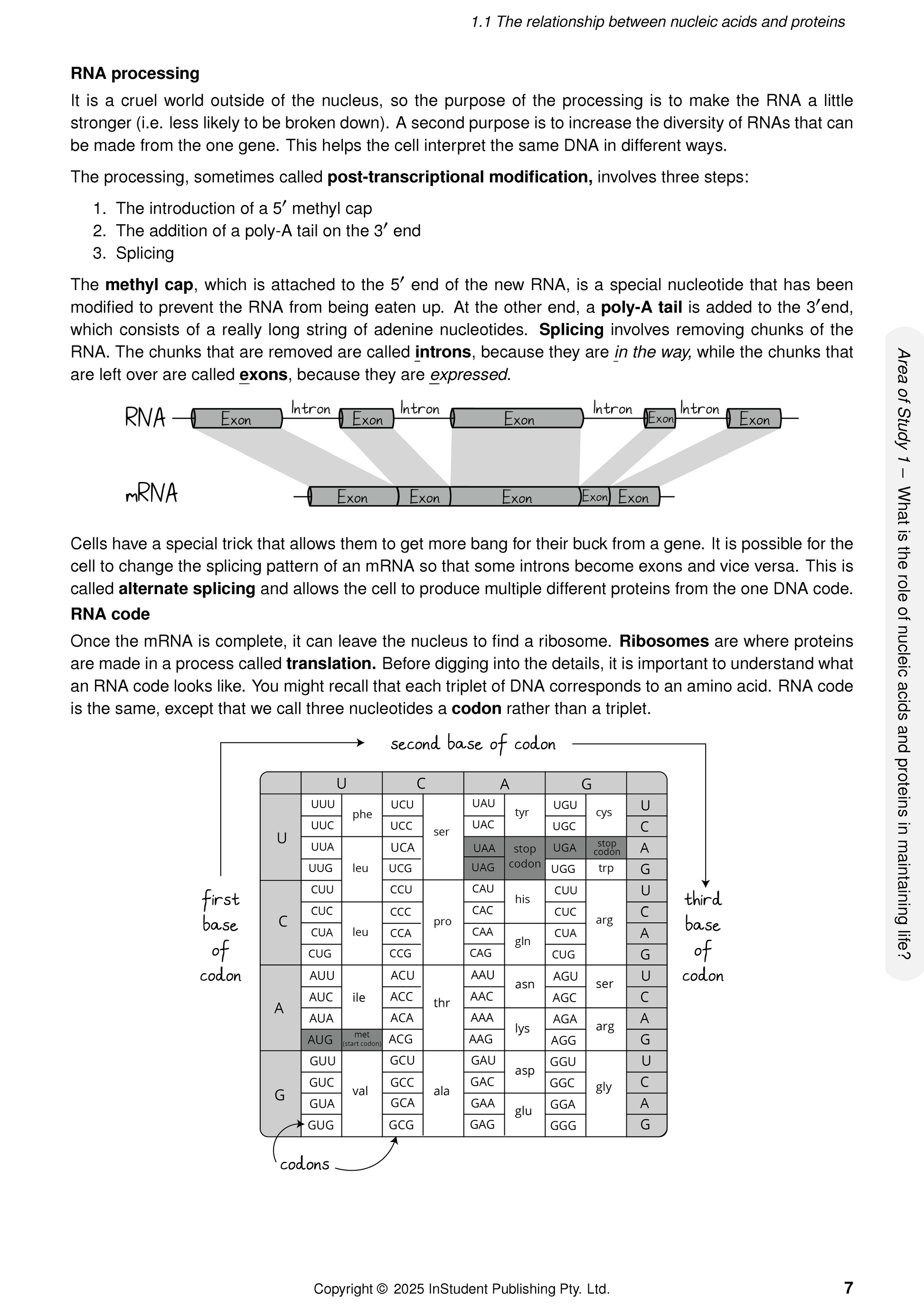 VCE Biology 3&4 Complete Course Notes by ATAR Notes, displaying a page about RNA processing and a genetic code table.