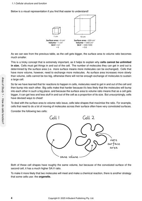 Biology Course Notes by ATAR Notes, open to a page detailing cellular structure with diagrams of cubes and cells demonstrating surface area to volume ratio.