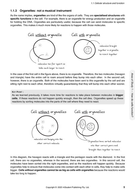 Page from VCE Biology 1&2 Complete Course Notes by ATAR Notes detailing organelles with cell diagrams and explanatory text.