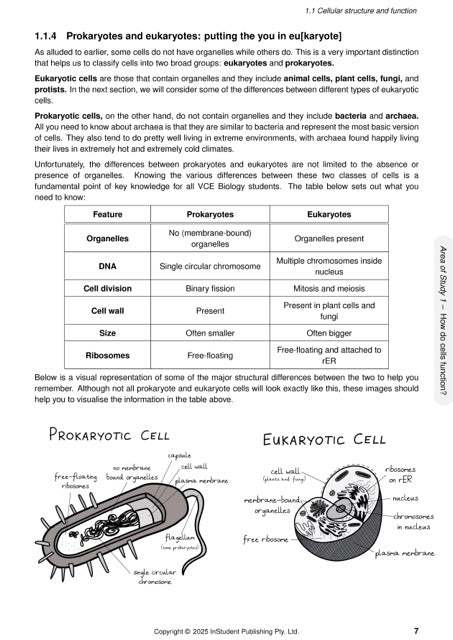 Biology Course Notes by ATAR Notes showing a page on prokaryotes and eukaryotes with a comparison table and cell diagrams.