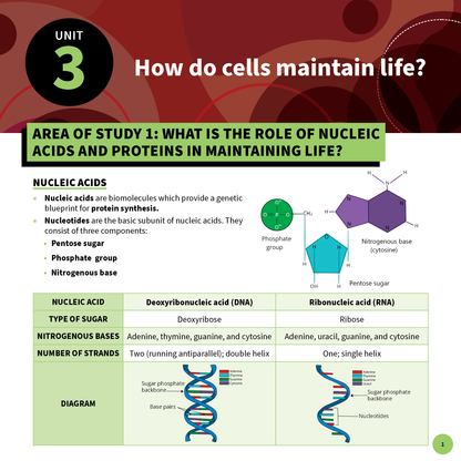 Biology summary sheet by ATAR Notes detailing nucleic acid components, a DNA/RNA comparison table, and diagrams.