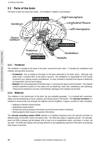 Course notes by ATAR Notes showing a black and white diagram of the human brain with labeled parts and explanatory text.