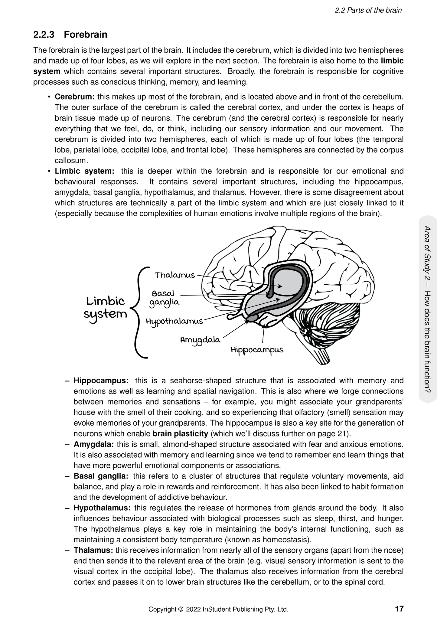Course notes page by ATAR Notes displaying brain anatomy with a diagram labeling the forebrain structures.