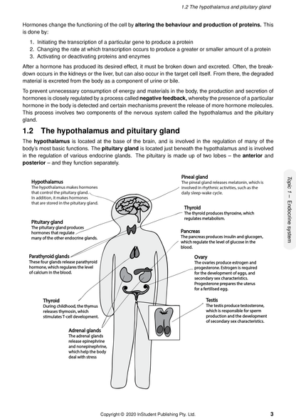 White Human Biology Course Notes by ATAR Notes, featuring text on hormones and an anatomical diagram of the endocrine system.