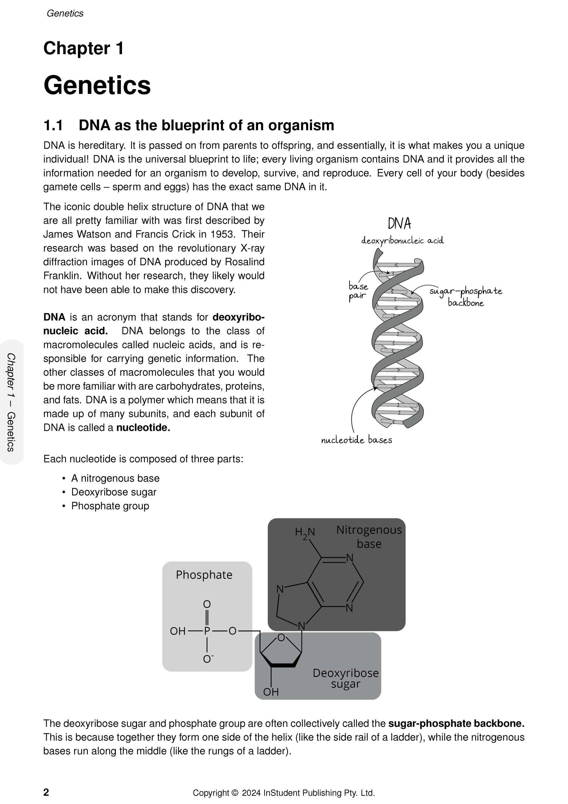 Science course notes by ATAR Notes, a white page detailing DNA structure with double helix and nucleotide diagrams.