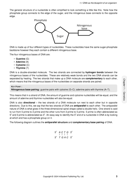 Year 10 Science Course Notes by ATAR Notes, displaying DNA structure diagram, base pairing, and antiparallel strands.