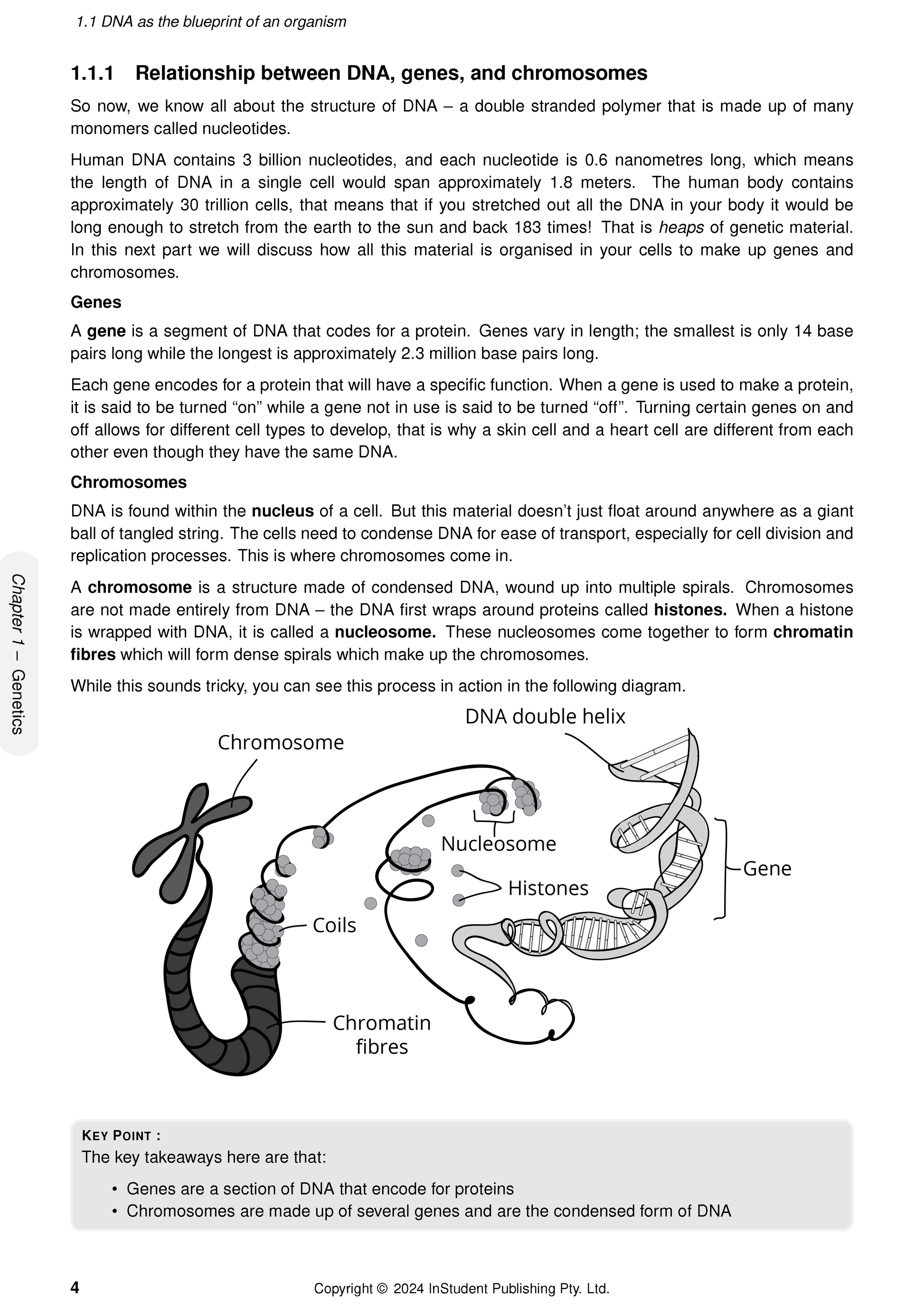 Science Course Notes by ATAR Notes displaying a page on DNA, genes, and chromosomes with an illustrative diagram.