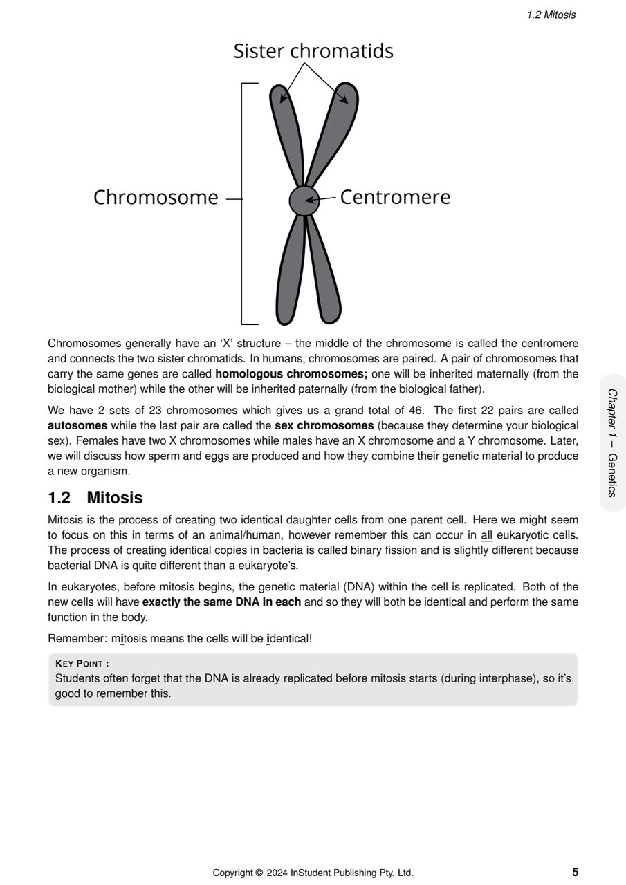 Year 10 Science Course Notes by ATAR Notes, a white page displaying a chromosome diagram and text on genetics and mitosis.