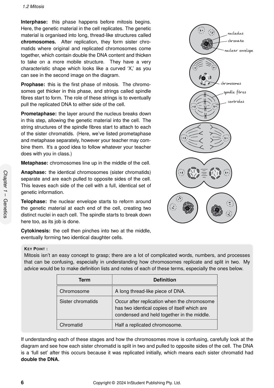 Science course notes page by ATAR Notes, displaying text on mitosis phases and corresponding cell division diagrams.